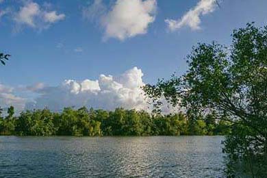 俄罗斯球员表现出色赢得国际赛事，俄罗斯球员表现出色赢得国际赛事有哪些