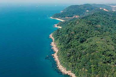 LOL赛事对电竞产业的影响：如何推动电竞发展，lol电竞的成功