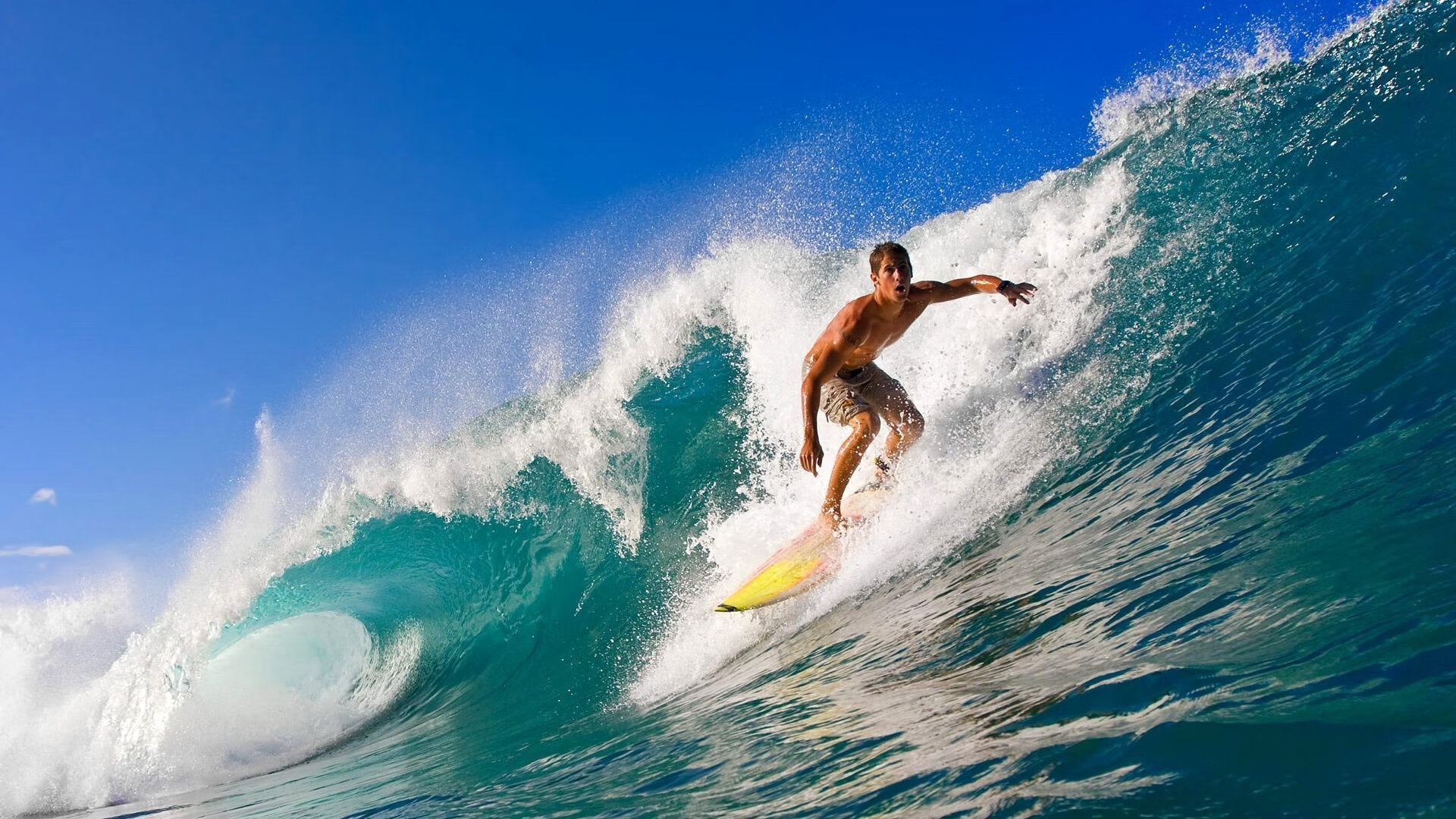 小巨人崛起：身材不高但技术出众的球员故事，小さな巨人